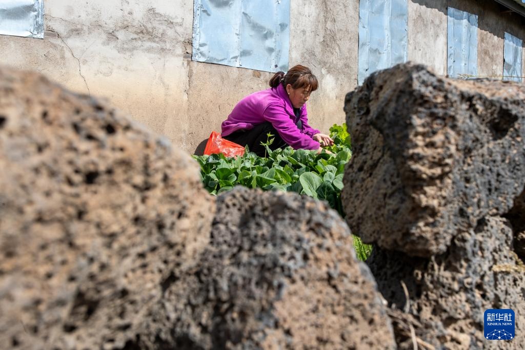 石加个乐念什么 202409271306467642.jpg