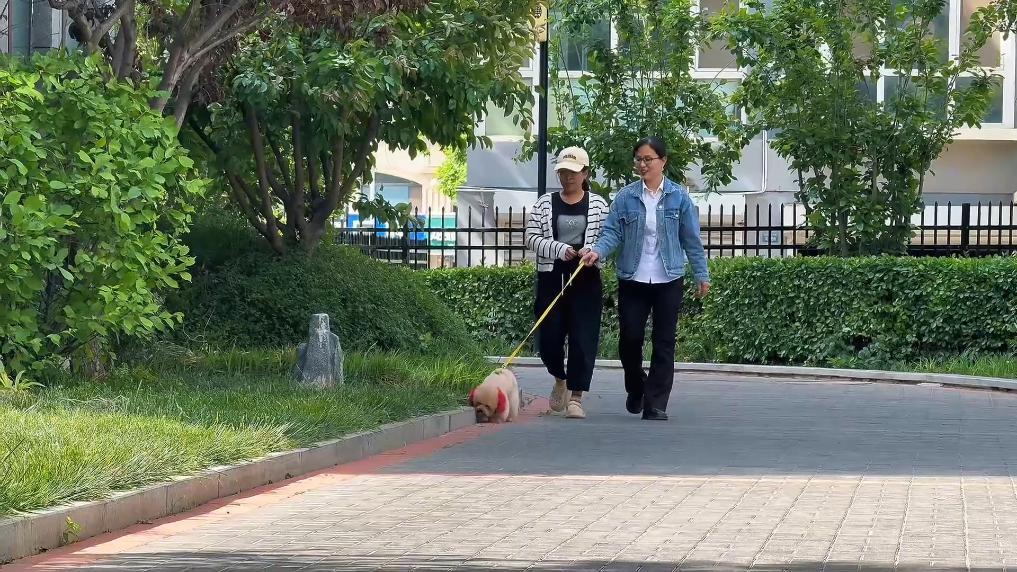 新华视点|新青年职业图鉴:解锁多元赛道绽放青春异彩(图9)