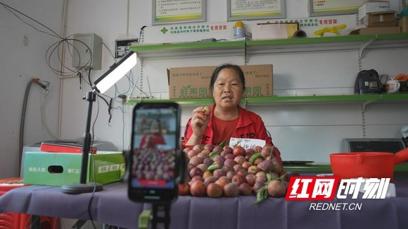 乡村振兴在路上｜湘西凤凰：漾水坨百亩桃李丰收 社区青年带母直播销万余斤桃李(图3)
