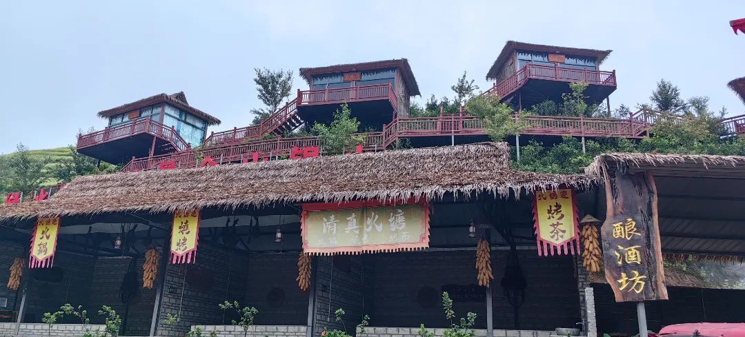 杏彩体育荞花开了！盛夏云南临沧又多了一个玩处(图2)