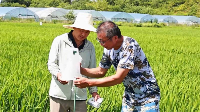 江西吉安：生物防治病虫害助力农药化肥减量增效(图1)