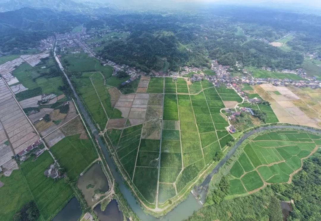 沃土生金喜看丰收——湖南省桃源县擘画“桃花源里好耕田”新图景(图1)