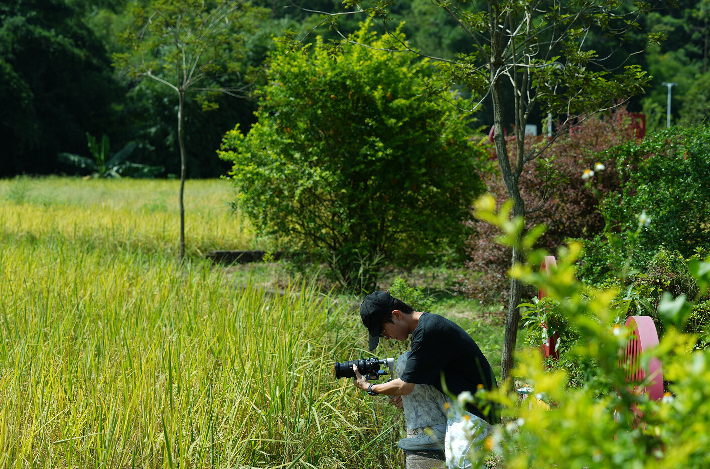 Pg电子平台：广财青年以影像行动纪念抗战胜利80周年助力打造美丽乡村走廊(图4)