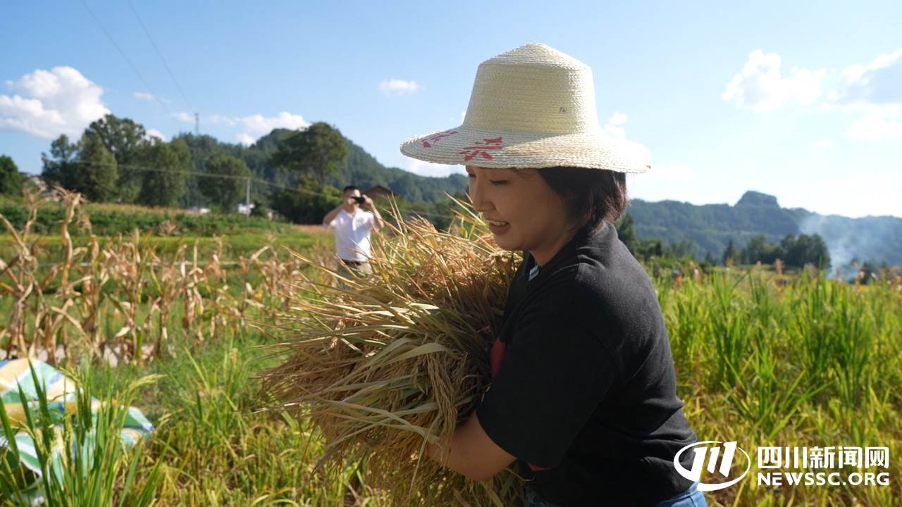 《田里的夏》走进宣汉：探索直播电商拓销路 千年桃花米点亮 “田里生金” 路(图1)