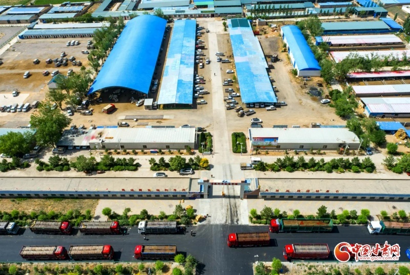 古浪县：羊产业奏响乡村振兴“牧歌”(图7)