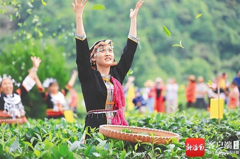 生态农杏彩体育平台业看琼中(图7)