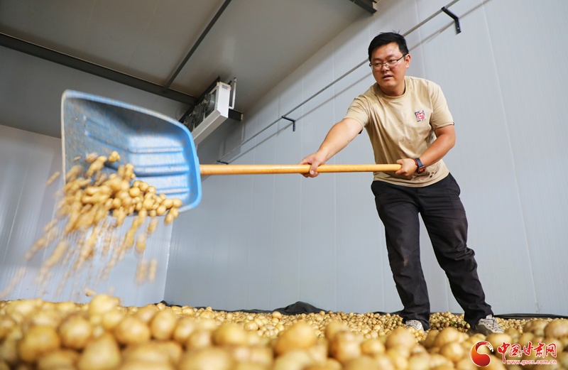 祁连山下是我家科技浇灌 民乐马铃薯产业绽放“致富花”(图6)