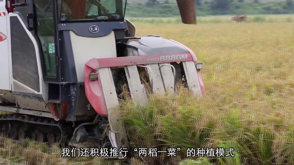 安博体育:新华视点丨向盐碱地要粮!福建惠安书写农业变革答卷(图5)