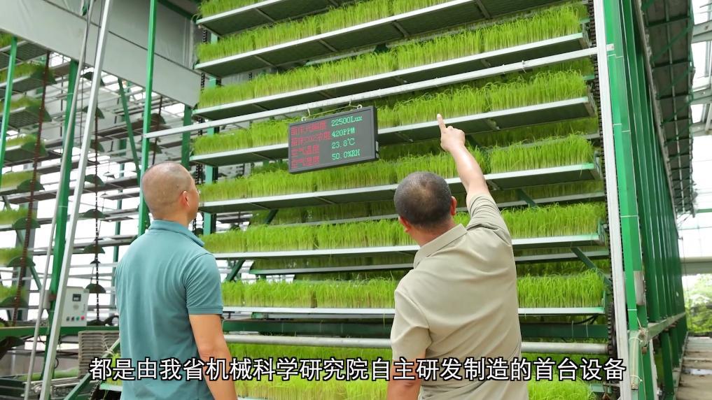 安博体育:新华视点丨向盐碱地要粮!福建惠安书写农业变革答卷(图7)