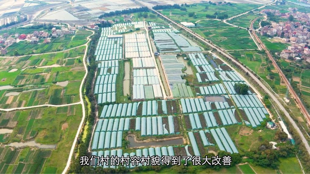 安博体育:新华视点丨向盐碱地要粮!福建惠安书写农业变革答卷(图10)