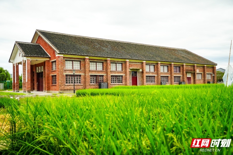 遇见福地怀化②丨从远古稻粒到“禾下乘凉”读懂怀化的文明温度(图3)