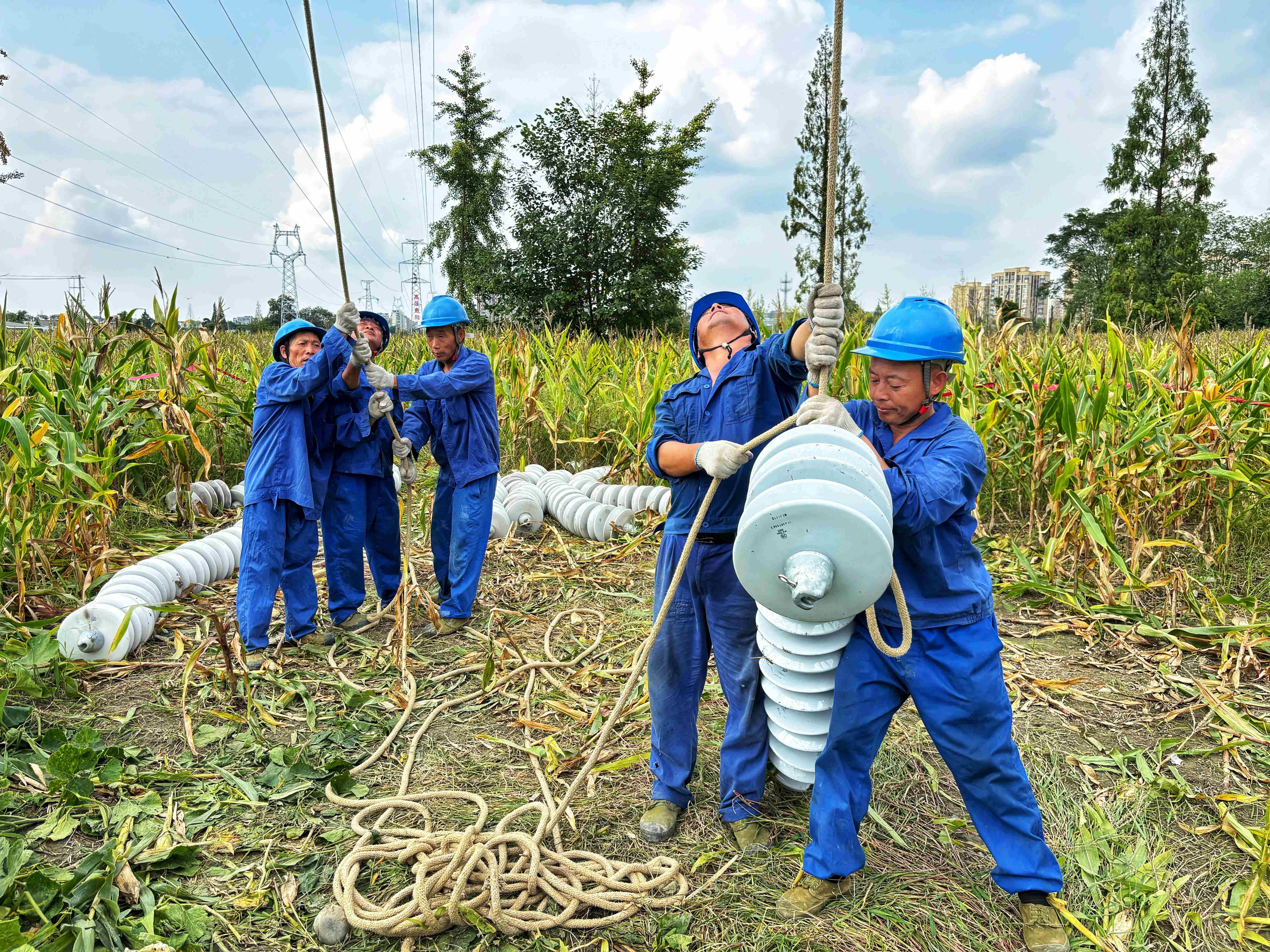 成都：电网“秋检、秋建”全面铺开(图1)