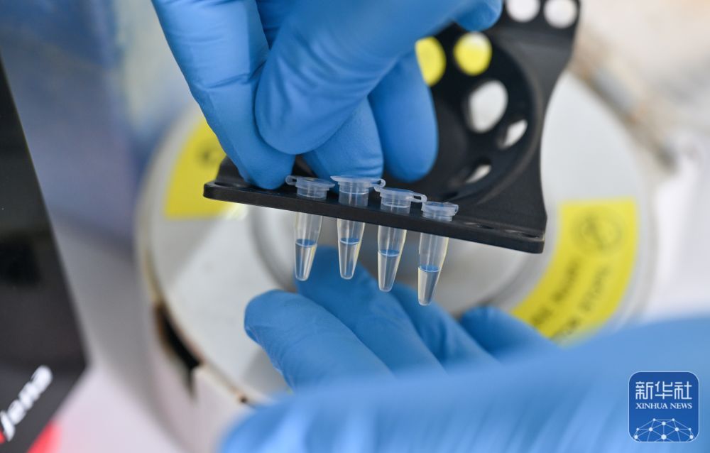 央媒看海南丨金枪鱼养殖推动海南渔业高质量发展(图6)