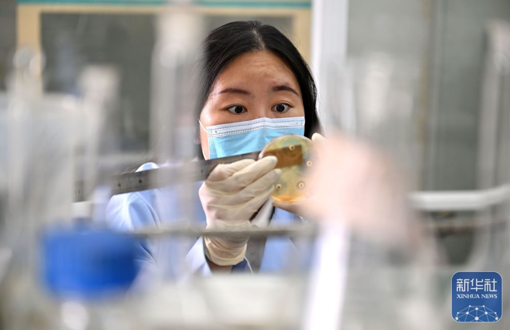 央媒看海南丨金枪鱼养殖推动海南渔业高质量发展(图3)