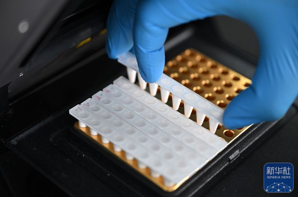 央媒看海南丨金枪鱼养殖推动海南渔业高质量发展(图7)