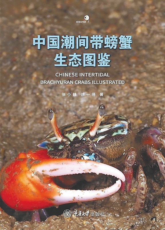 海南周刊 科普作家张小蜂： 我在海南拍螃蟹(图5)