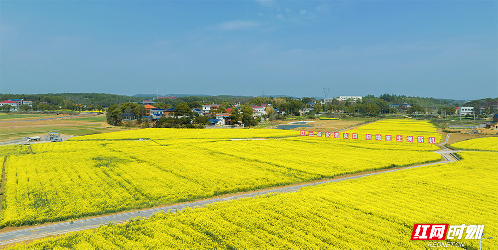 Pg电子游戏平台：“何”以自然丨如何用好“＋”法全域土地综合整治的湖南模式(图2)