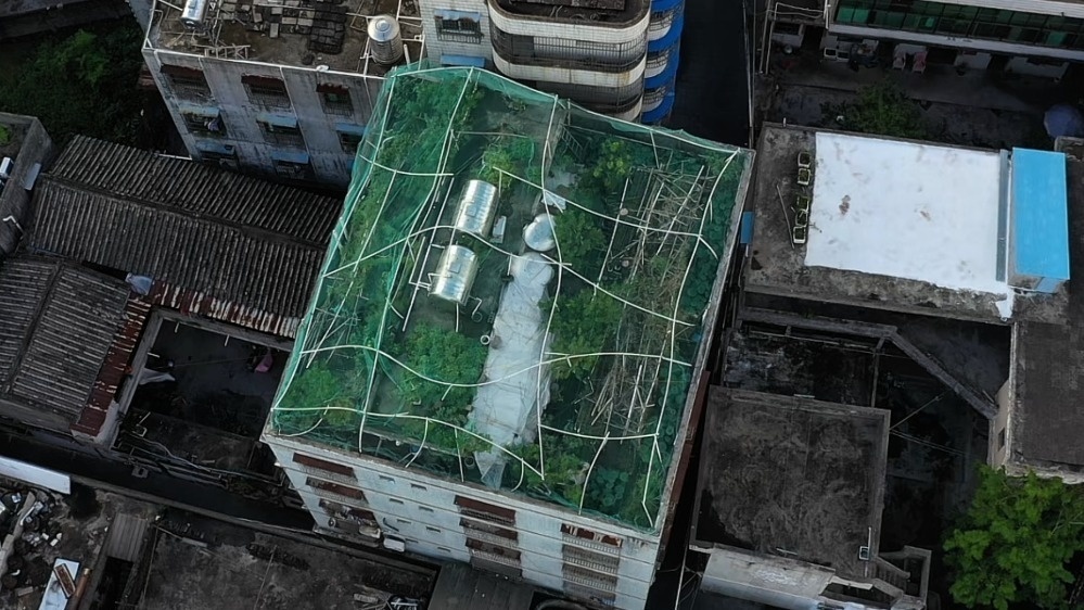 “展览+”扮靓假期海南各大文博场馆成热门打卡地(图3)