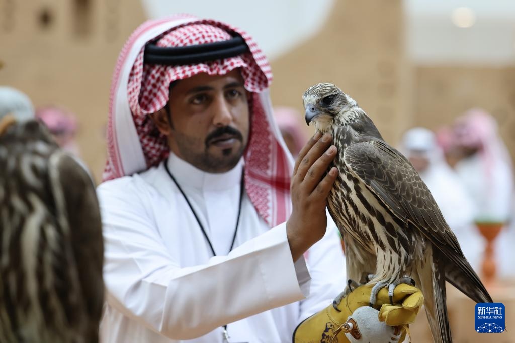 沙特利雅得举办“猎鹰节”首设中国展区引关注(图1)