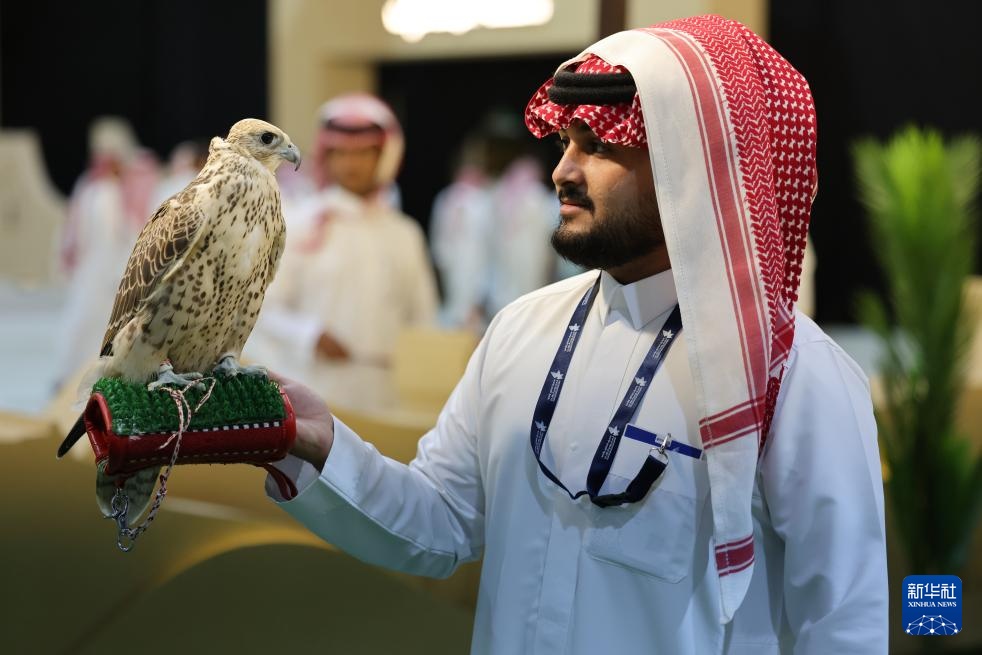 沙特利雅得举办“猎鹰节”首设中国展区引关注(图2)