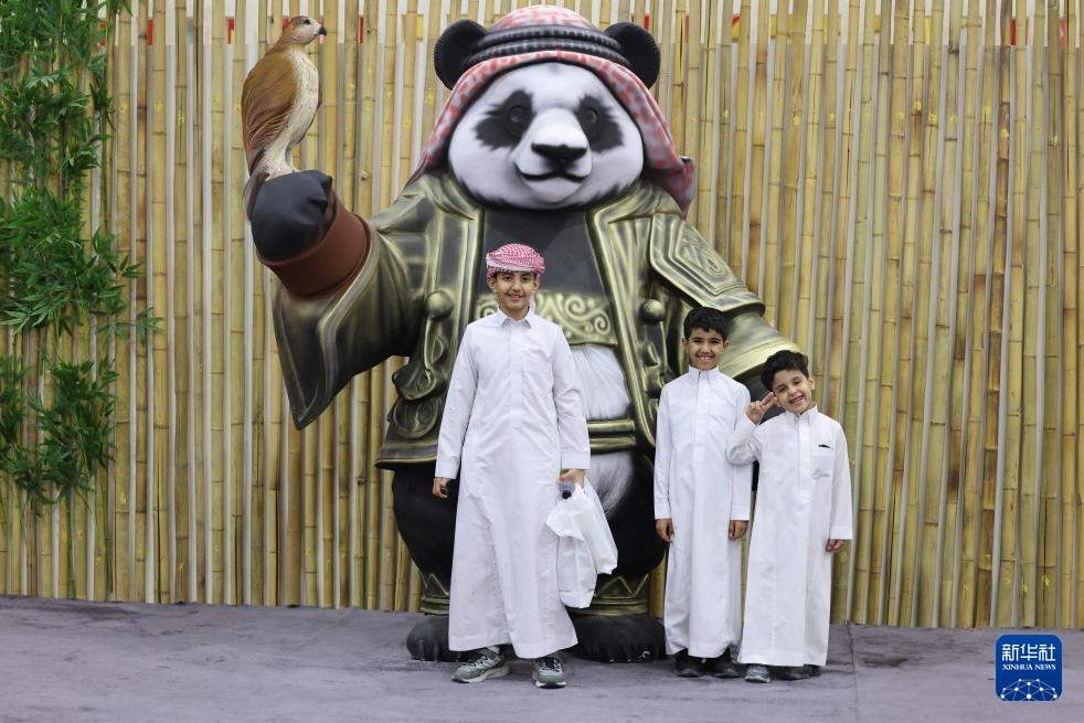 沙特利雅得举办“猎鹰节”首设中国展区引关注(图7)