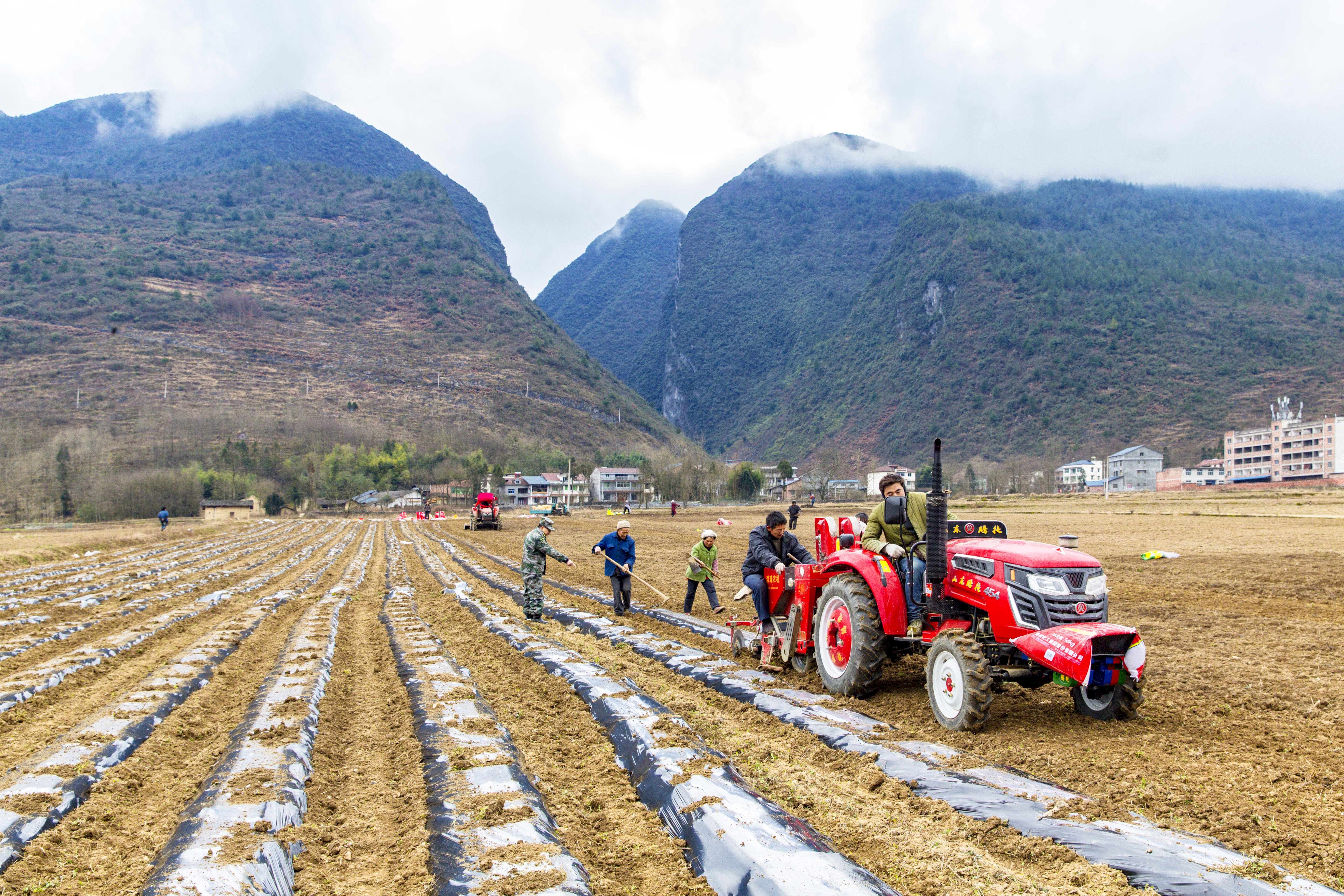 薯田“科技问诊”：让丘陵山地的“土疙瘩”变“金豆豆”(图5)