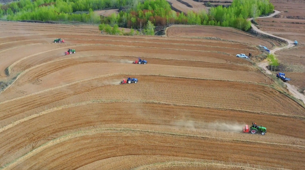 绽放“她”力量丨直播助农 她们超给力(图1)