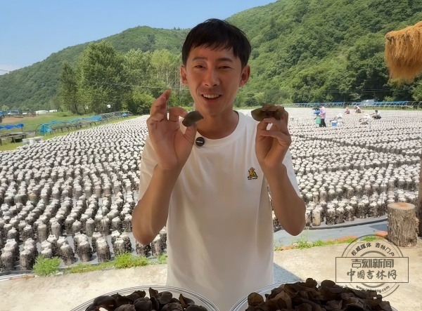 九游娱乐：汪清县丨青春力量点亮延边乡村：镜头与直播间的振兴密码(图3)