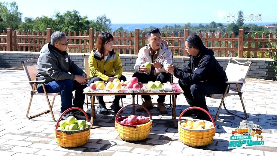 从一颗庆阳苹果的旅程窥见中国农业的现代化答卷