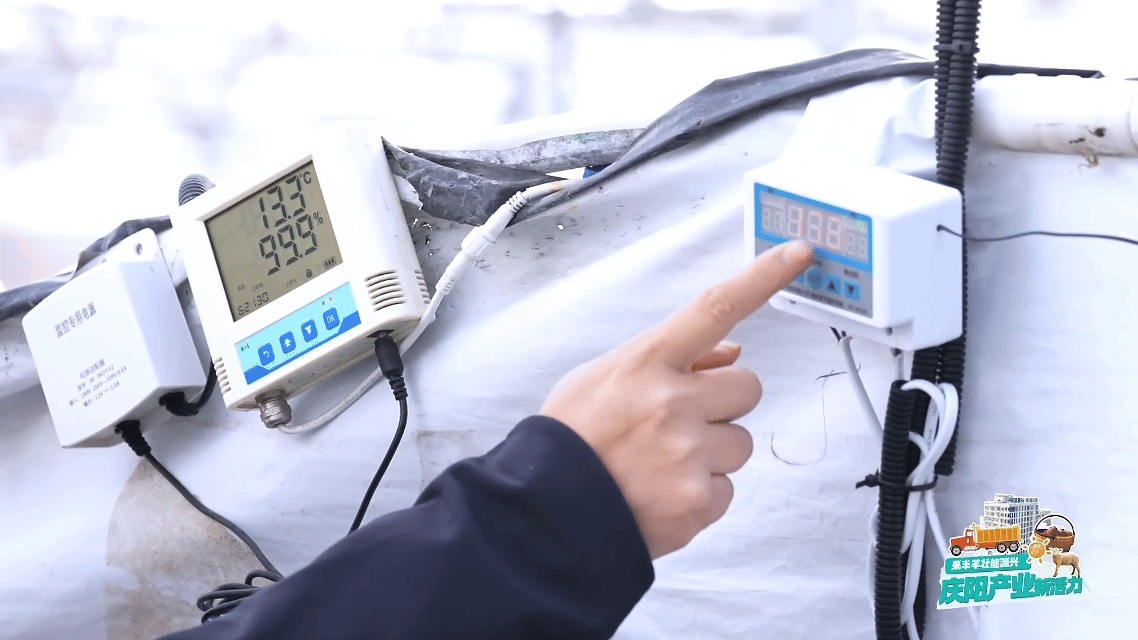 从一颗庆阳苹果的旅程窥见中国农业的现代化答卷(图4)