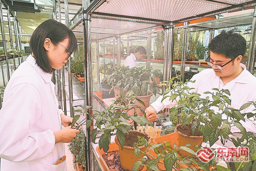 深读工学融合造就高技能人才(图2)