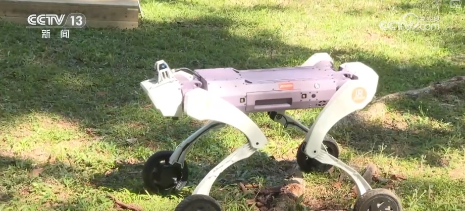 自动驾驶→医疗诊断；语音翻译→创意设计“中国智慧”引领亚太创造全新生产力(图6)