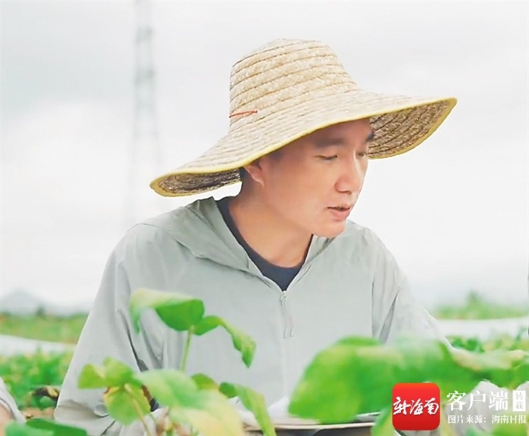 海南周刊小院笔记:写满科研人员助农故事(图1)