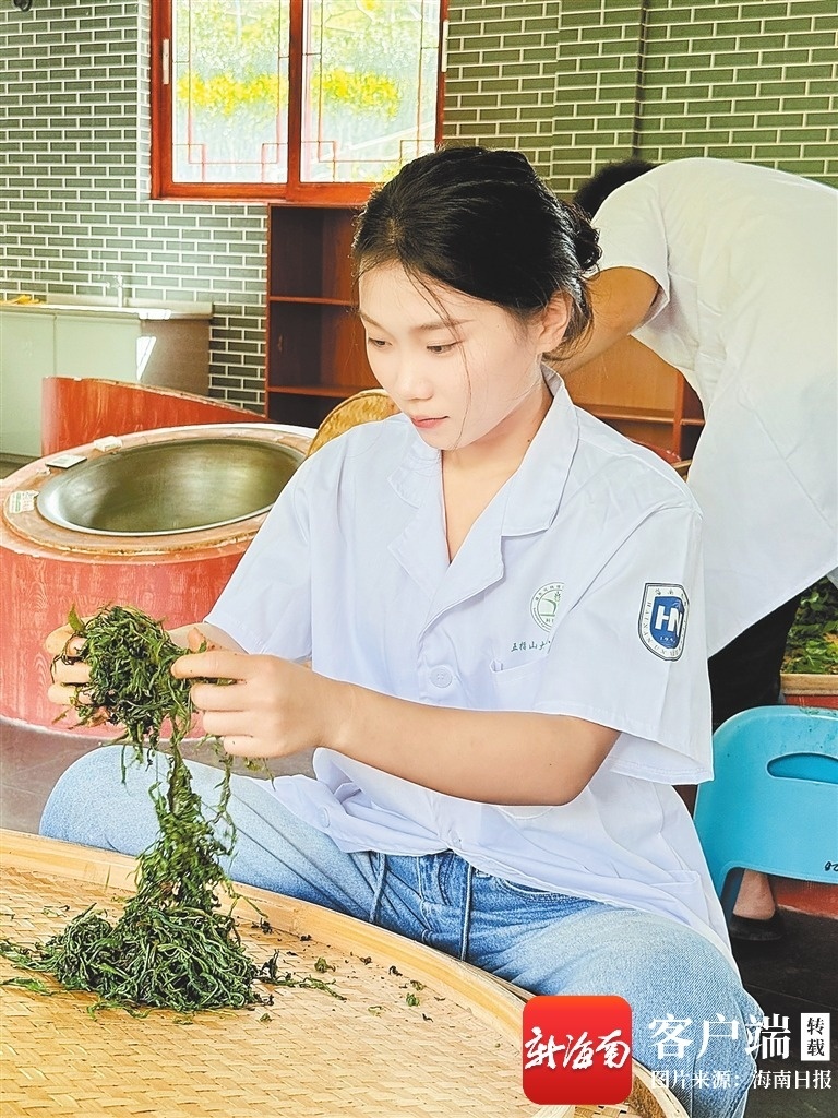 海南周刊小院笔记:写满科研人员助农故事(图3)