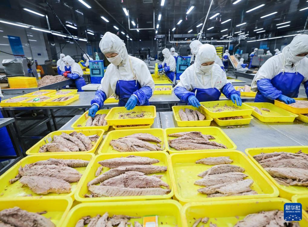 易倍:四中全会精神在基层|山东:耕海牧渔充盈“蓝色粮仓”(图2)