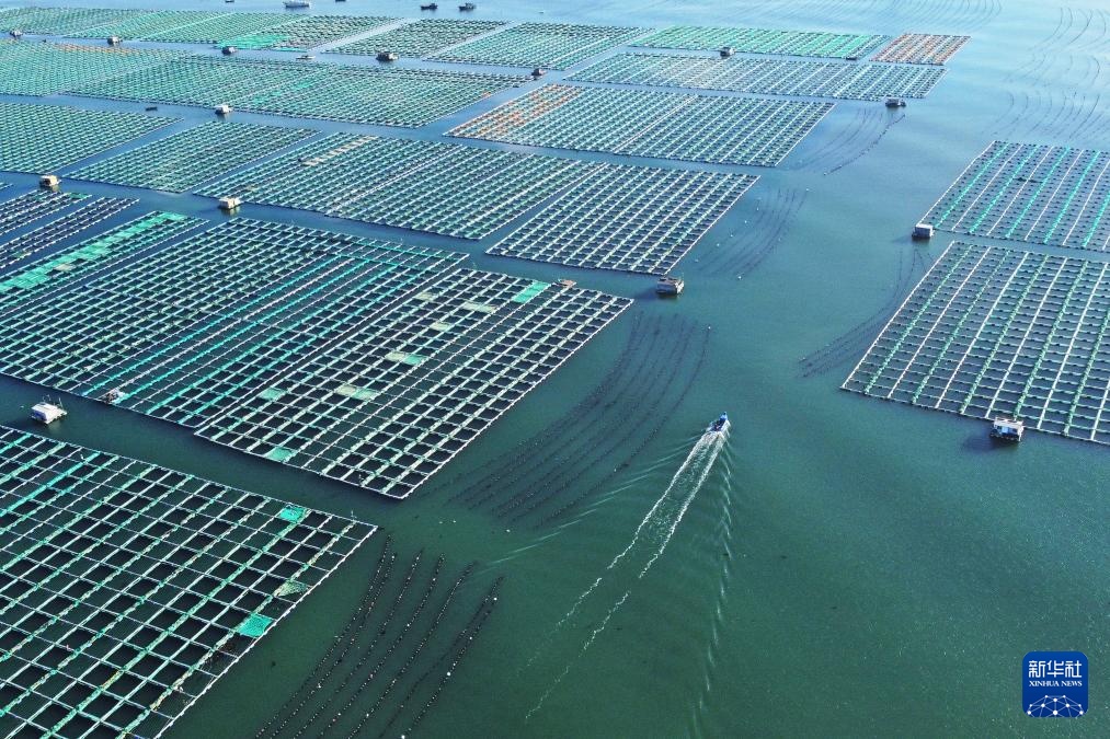 易倍:四中全会精神在基层|山东:耕海牧渔充盈“蓝色粮仓”(图5)