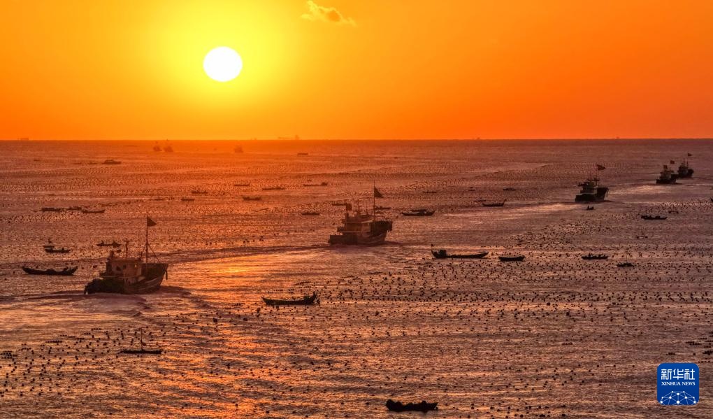 易倍:四中全会精神在基层|山东:耕海牧渔充盈“蓝色粮仓”(图7)