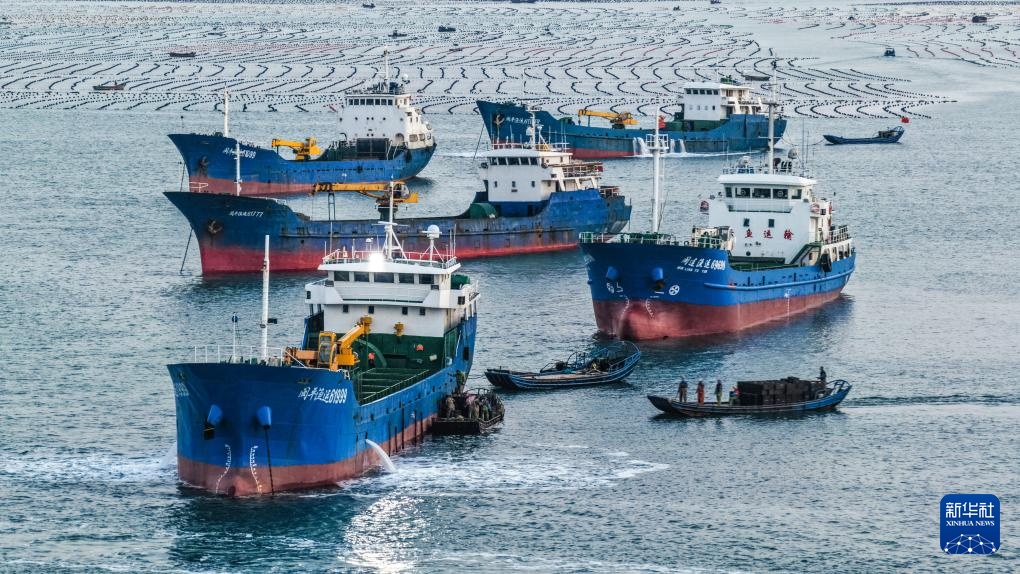 易倍:四中全会精神在基层|山东:耕海牧渔充盈“蓝色粮仓”(图10)