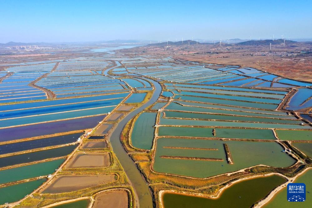 易倍:四中全会精神在基层|山东:耕海牧渔充盈“蓝色粮仓”(图12)