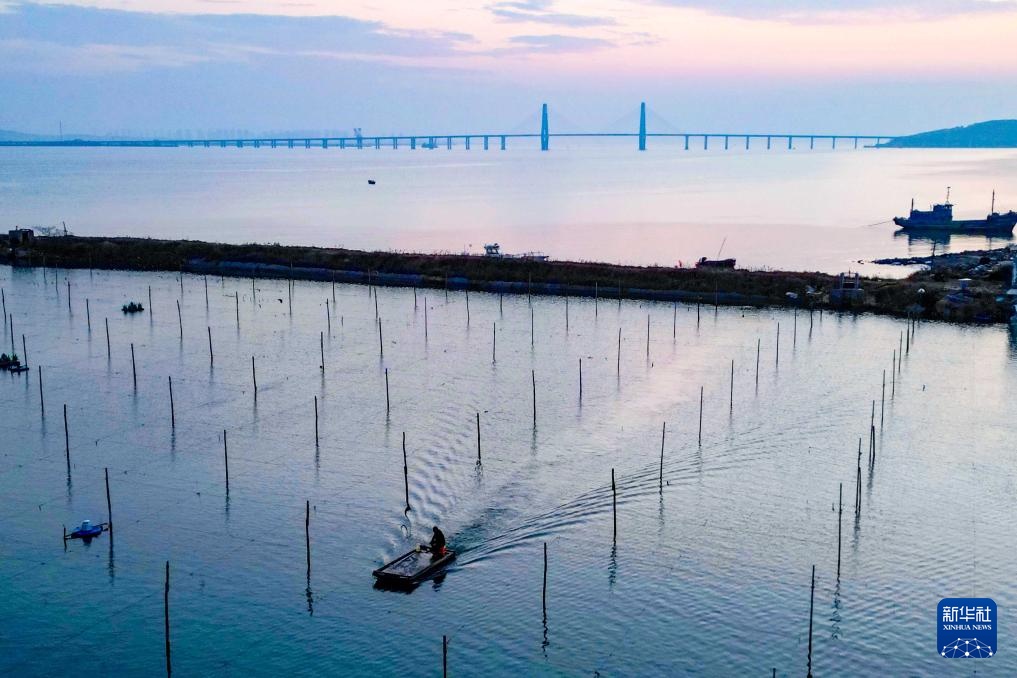 易倍:四中全会精神在基层|山东:耕海牧渔充盈“蓝色粮仓”(图13)