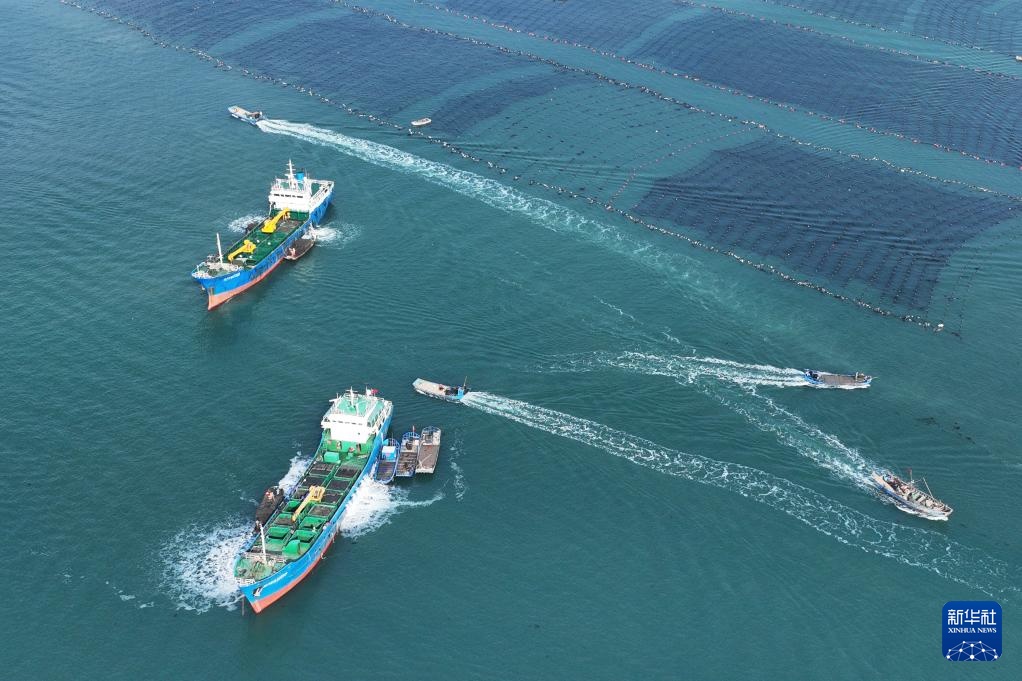 易倍:四中全会精神在基层|山东:耕海牧渔充盈“蓝色粮仓”(图14)