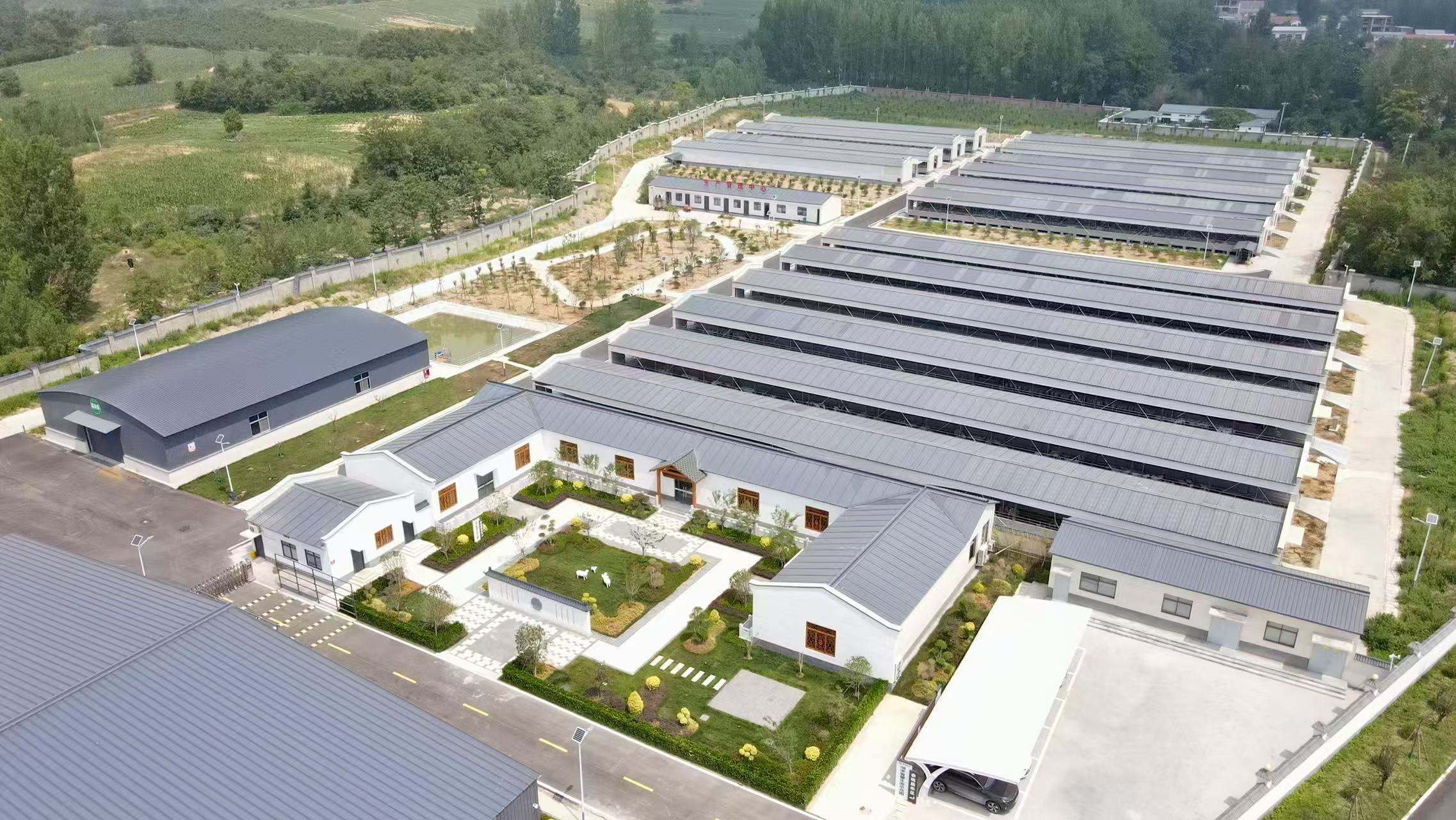 河南省确山县:养殖连云端牧歌传新韵(图1)