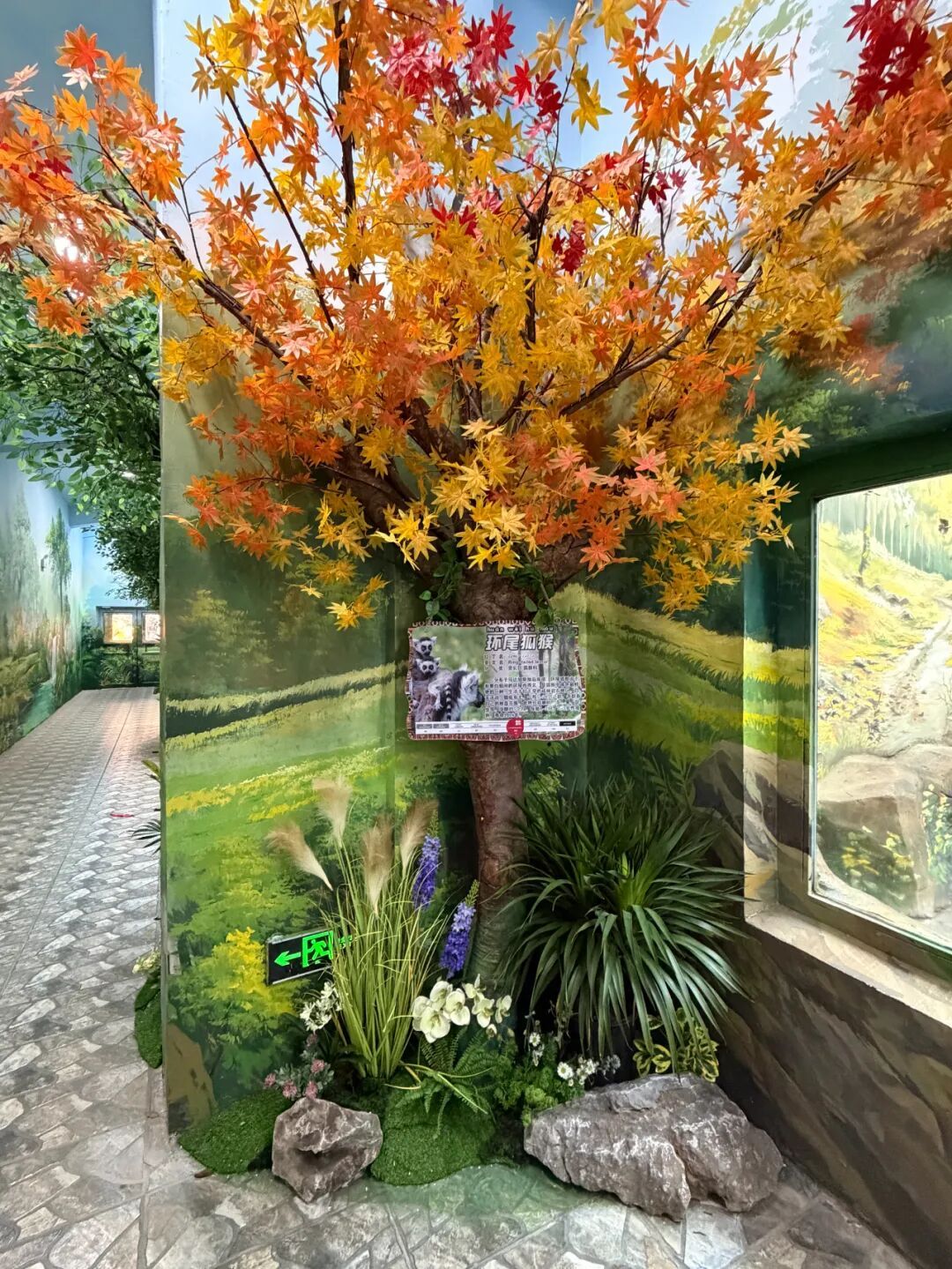 绿意盎然！长春市动植物公园冬季室内馆舍“上新”(图2)