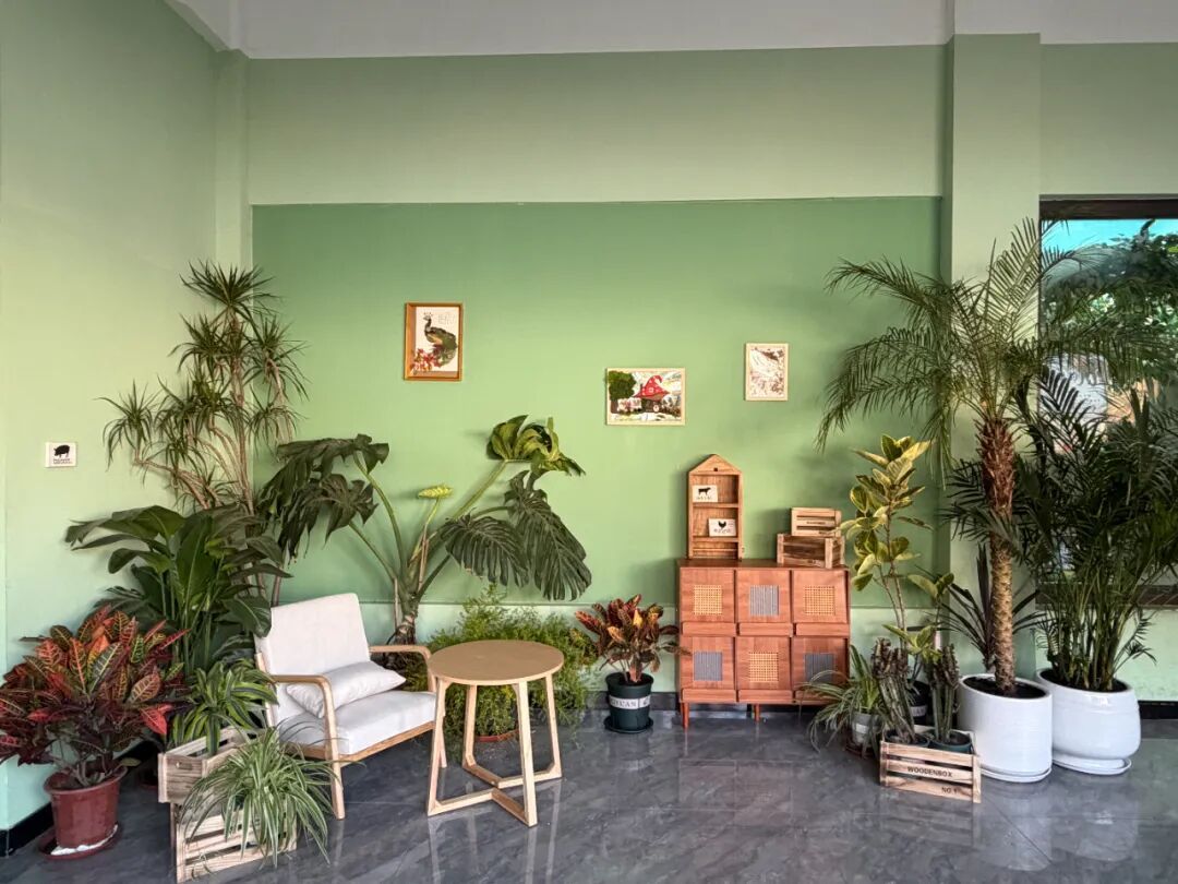 绿意盎然！长春市动植物公园冬季室内馆舍“上新”(图4)