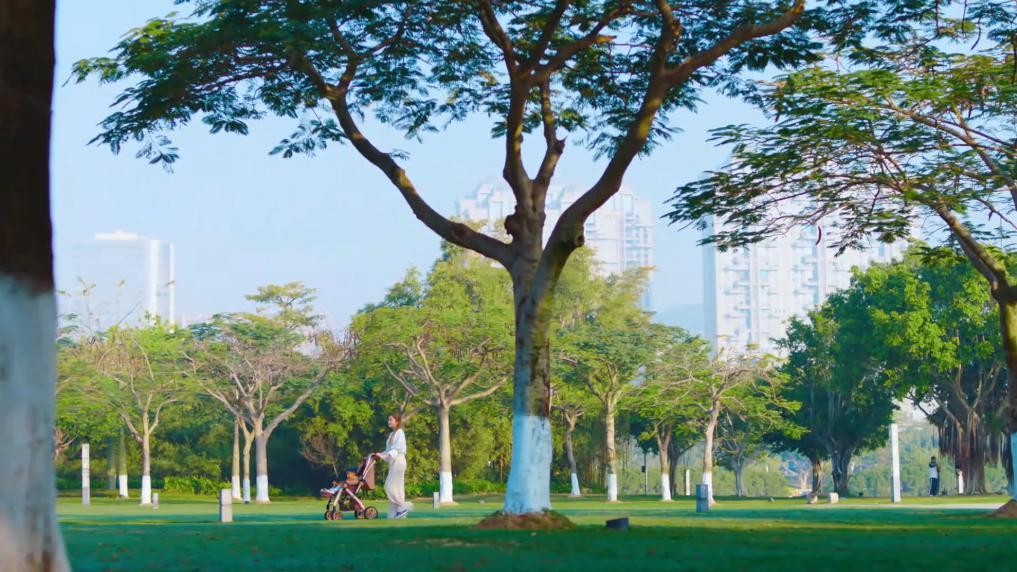 新华视点丨光影流金厦门借金鸡奖书写“影视之城”新诗篇(图5)