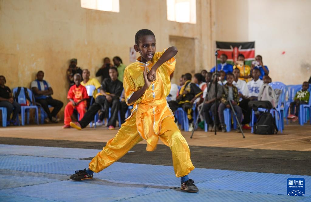 武术——肯尼亚第四届功夫武术锦标赛举行