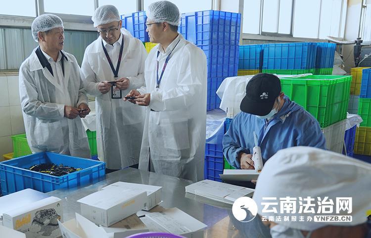kaiyun入口：破疴重生——云南农发（农垦）集团“双生态”调研观察