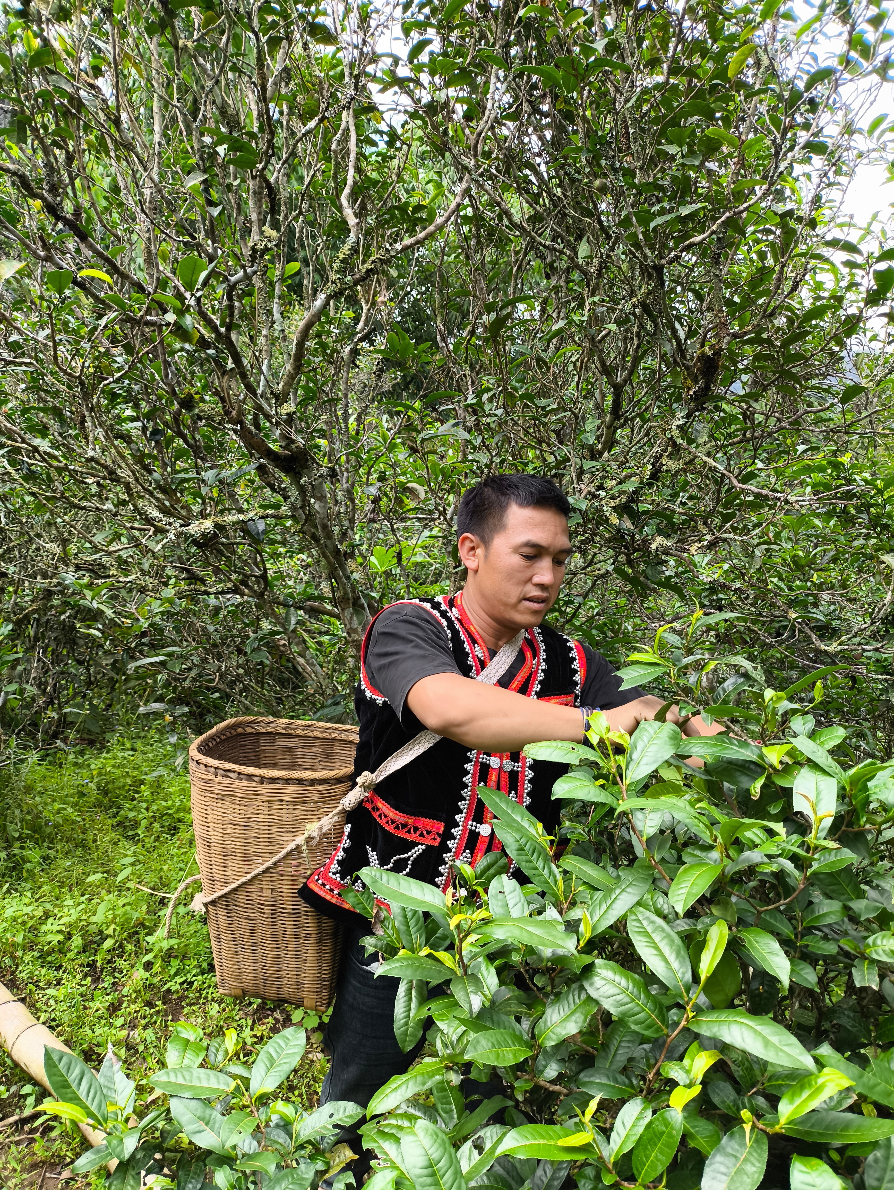 纳姆达科技申请一种清洁装置、清洁设备及方法专利提高效率(图2)