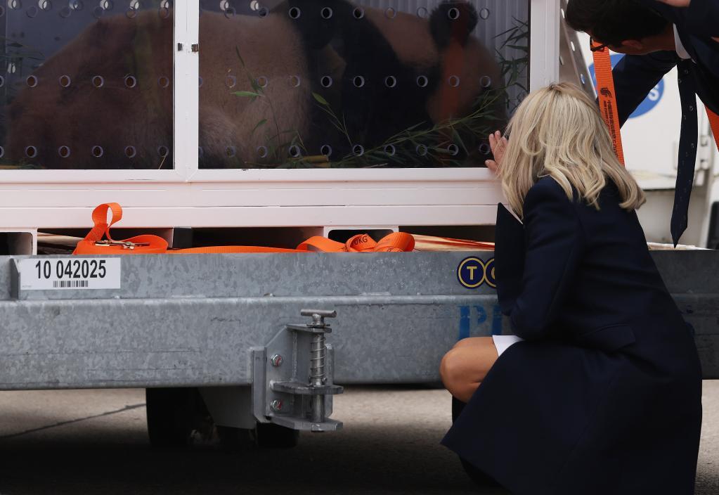 13载携手！中法大熊猫合作再续新篇(图5)