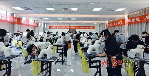 “它经济”这条赛道怎么跑？(图2)